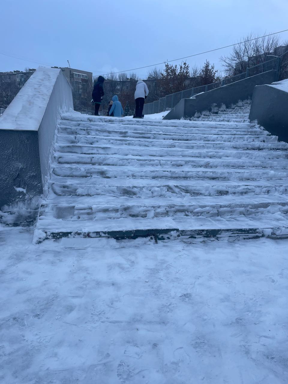 5363947509262258647.jpg